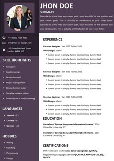Free Detailed CV Template