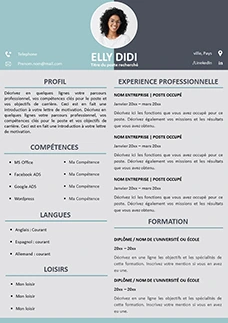 French CV Template word & ppt