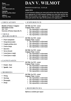 USA CV Template Word Format